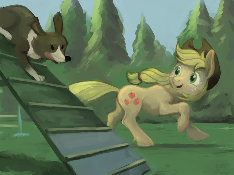 Size: 1280x960 | Tagged: applejack, artist:spectralunicorn, derpibooru import, play, playing, ramp, running, safe, training, winona