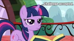 Size: 600x338 | Tagged: challenge accepted, derpibooru import, image macro, safe, twilight sparkle