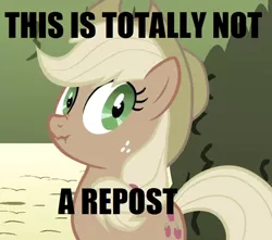 Size: 500x442 | Tagged: applejack, blatant lies, derpibooru import, image macro, liar face, liarjack, safe