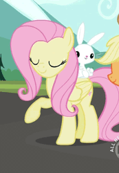 Size: 400x578 | Tagged: angel bunny, animated, applejack, cropped, derpibooru import, fluttershy, may the best pet win, offscreen character, safe, screencap