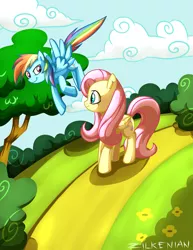 Size: 2449x3173 | Tagged: artist:zilkenian, derpibooru import, fluttershy, rainbow dash, safe