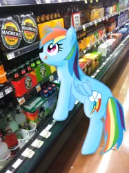 Size: 300x402 | Tagged: safe, artist:ludiculouspegasus, derpibooru import, rainbow dash, pony, alcohol, backwards cutie mark, beer, cider, dashaholic, irl, licking, licking lips, photo, ponies in real life, tongue out