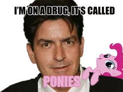 Size: 450x338 | Tagged: charlie sheen, derpibooru import, human, image macro, irl, irl human, meme, photo, pinkie pie, pink text, safe