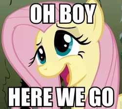 Size: 800x720 | Tagged: canterlot hedge maze, cropped, derpibooru import, edit, edited screencap, fluttershy, image macro, meme, reaction image, safe, screencap, solo, the return of harmony