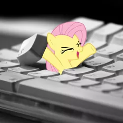 Size: 1600x1600 | Tagged: safe, derpibooru import, fluttershy, pegasus, pony, i hid in your keyboard, meme