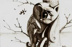 Size: 1694x1112 | Tagged: safe, artist:lordgood, derpibooru import, fluttershy, autumn, grayscale, solo