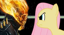 Size: 674x365 | Tagged: derpibooru import, fluttershy, ghost rider, penance stare, safe, the stare, vs