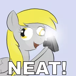 Size: 500x500 | Tagged: safe, derpibooru import, derpy hooves, pegasus, pony, camera, camera flashes, derp, female, happy, hoof hold, image macro, mare, neat, open mouth, reaction image, smiling, solo, you're doing it wrong