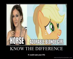 Size: 750x600 | Tagged: applejack, demotivational poster, derpibooru import, know the difference, meme, safe, sarah jessica parker