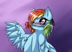 Size: 420x306 | Tagged: artist:pyrogeists, blushing, chest fluff, derpibooru import, rainbow dash, rose, safe