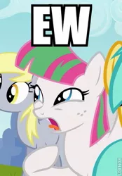 Size: 347x500 | Tagged: safe, derpibooru import, screencap, blossomforth, derpy hooves, sunshower raindrops, pegasus, pony, hurricane fluttershy, background pony, caption, cropped, female, mare, reaction image, roflbot, solo focus