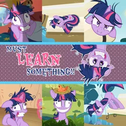 Size: 864x864 | Tagged: safe, derpibooru import, edit, edited screencap, screencap, twilight sparkle, bird, pony, unicorn, lesson zero, bench, female, mare, messy mane, nest, puddle, text, twilight snapple