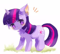 Size: 500x450 | Tagged: artist:tsukuda, blushing, cat, catified, cat pony, chest fluff, cute, derpibooru import, ear fluff, kitten, looking at you, original species, pixiv, safe, solo, species swap, twiabetes, twilight cat, twilight sparkle