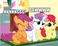 Size: 392x308 | Tagged: safe, derpibooru import, edit, screencap, apple bloom, scootaloo, sweetie belle, earth pony, pegasus, pony, unicorn, the cutie mark chronicles, caption, cropped, cute, cutie mark crusaders, daaaaaaaaaaaw, eyes closed, female, filly, foal, gritted teeth, heart attack, hnnng, image macro, meme, open mouth, prone, raised hoof, real heart attack, sitting, smiling, trio