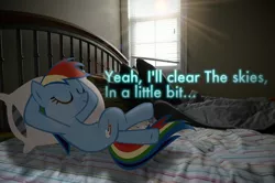 Size: 2464x1632 | Tagged: safe, artist:oppositebros, derpibooru import, rainbow dash, pony, bed, irl, photo, ponies in real life, vector