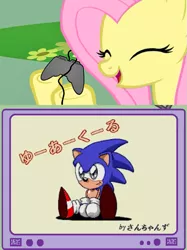 Size: 563x752 | Tagged: safe, derpibooru import, fluttershy, pony, crossover, exploitable meme, gamershy, japanese, meme, sonic the hedgehog, sonic the hedgehog (series), tv meme