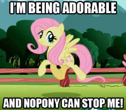 Size: 420x368 | Tagged: artist:mezkalito4p, cute, derpibooru import, edit, edited screencap, fluttershy, grin, image macro, looking at you, may the best pet win, prancing, safe, screencap, skipping, smiling, solo, spread wings, trotting