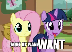 Size: 725x524 | Tagged: safe, derpibooru import, edit, edited screencap, screencap, fluttershy, twilight sparkle, a bird in the hoof, cropped, duo, hub logo, mirrored, reaction image, tongue out, varying degrees of want, want