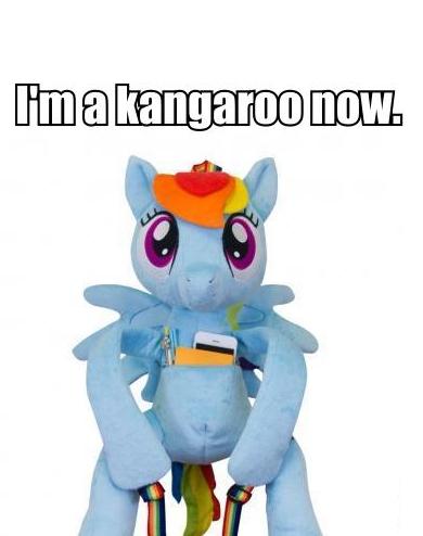 Size: 390x494 | Tagged: safe, derpibooru import, rainbow dash, kangaroo, backpack, photo, welovefine