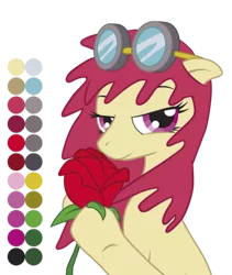 Size: 400x473 | Tagged: artist:jcosneverexisted, derpibooru import, flower, goggles, oc, reference sheet, rose, safe, solo, unofficial characters only