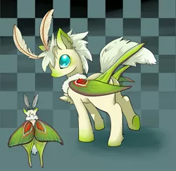 Size: 925x900 | Tagged: artist:darkdragonden, derpibooru import, luna moth, moth, mothpony, oc, original species, pegasus, safe, solo, unofficial characters only