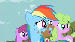 Size: 642x356 | Tagged: berry punch, berryshine, crying, daisy, derpibooru import, flower wishes, out of context, rainbow dash, roseluck, safe, screencap, the super speedy cider squeezy 6000