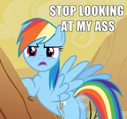 Size: 322x301 | Tagged: safe, derpibooru import, edit, edited screencap, screencap, rainbow dash, pegasus, pony, over a barrel, butt, caption, cropped, desert, female, hub logo, mare, plot, rainbutt dash, vulgar