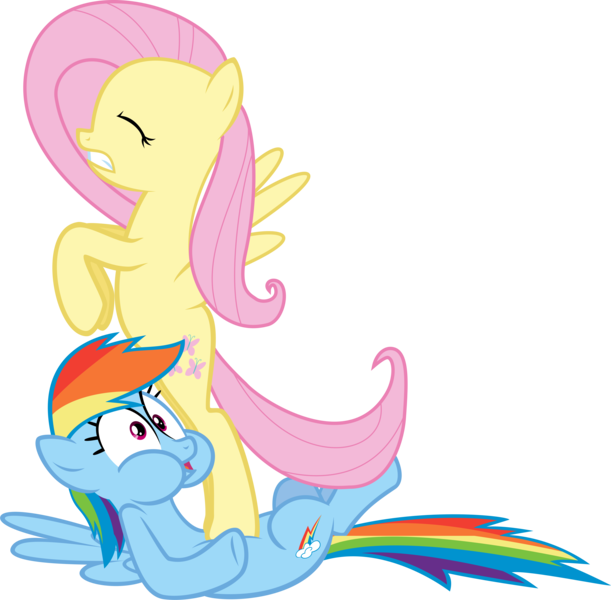 Size: 10000x9818 | Tagged: absurd resolution, artist:iamcommando13, derpibooru import, fluttershy, rainbow dash, safe, simple background, transparent background, vector