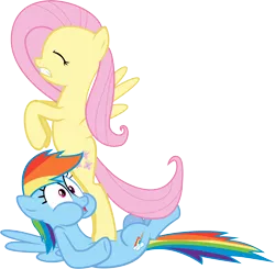 Size: 10000x9818 | Tagged: absurd resolution, artist:iamcommando13, derpibooru import, fluttershy, rainbow dash, safe, simple background, transparent background, vector