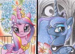 Size: 800x575 | Tagged: artist:schnuffitrunks, derpibooru import, princess cadance, princess luna, safe