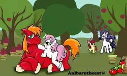 Size: 747x447 | Tagged: suggestive, artist:anibaruthecat, derpibooru import, apple bloom, big macintosh, rarity, sweetie belle, earth pony, pony, blushing, incorrect leg anatomy, male, shipping, stallion, straight, sweetiemac