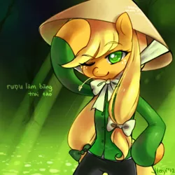 Size: 300x300 | Tagged: applejack, artist:jiayi, conical hat, derpibooru import, hat, pixiv, safe, solo, vietnamese