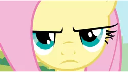 Size: 11520x6480 | Tagged: absurd resolution, artist:lazypixel, derpibooru import, fluttershy, putting your hoof down, safe, unamused, vector