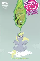 Size: 659x1000 | Tagged: safe, artist:katiecandraw, derpibooru import, idw, derpy hooves, doctor whooves, time turner, pegasus, pony, cocoon, comic, cover, female, idw advertisement, mare, official comic