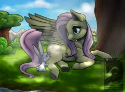 Size: 1200x886 | Tagged: safe, artist:japandragon, derpibooru import, angel bunny, fluttershy, pegasus, pony, rabbit, animal, cloud, female, grass, looking at each other, mare, prone, shade, sku, tree, underhoof, water, wings