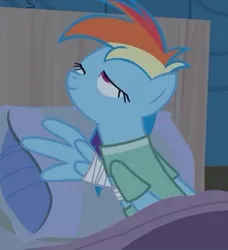 Size: 348x381 | Tagged: safe, derpibooru import, screencap, rainbow dash, pegasus, pony, read it and weep, bandage, bandaged wing, cropped, out of context, solo