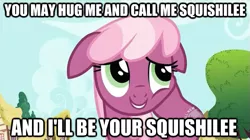 Size: 625x350 | Tagged: bronybait, cheerilee, derpibooru import, edit, edited screencap, finding nemo, hub logo, hug, image macro, safe, screencap, secret of my excess, squishilee, squishy