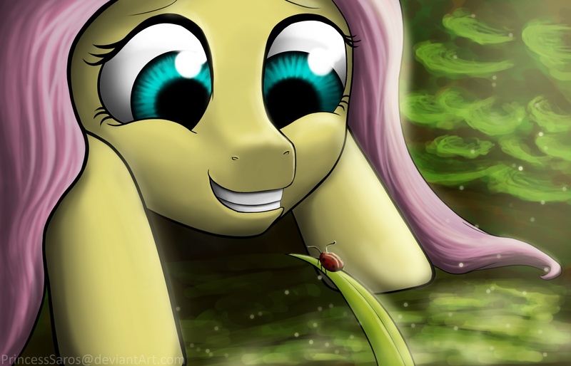 Size: 2780x1787 | Tagged: artist:princesssaros, derpibooru import, fluttershy, ladybug, safe, solo