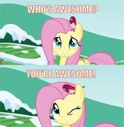 Size: 500x512 | Tagged: awesome, bird, derpibooru import, fluttershy, image macro, safe