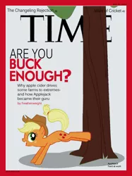 Size: 749x999 | Tagged: applejack, derpibooru import, parody, safe, time magazine