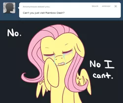 Size: 1200x1000 | Tagged: artist:darkaiya, ask, ask sombershy, crying, derpibooru import, fluttershy, safe, tumblr