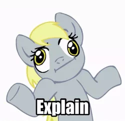 Size: 500x483 | Tagged: safe, derpibooru import, derpy hooves, pegasus, pony, :i, explain, female, image macro, looking at you, mare, reaction image, shrug, shrugpony