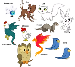 Size: 2000x1764 | Tagged: animal, artist:agirl3003, bird, cat, chicken, cockatrice, derpibooru import, dog, ferret, owl, owlowiscious, parasprite, pets, phoenix, rabbit, safe, simple background, white background