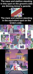 Size: 978x2190 | Tagged: a canterlot wedding, analysis, applejack, collage, derpibooru import, edit, edited screencap, family, fine line, headcanon, maxie, night light, north star, north star gazer, parent, pinkie pie, ponies standing next to each other, princess cadance, rainbow dash, rarity, safe, screencap, seafoam, sea swirl, shining armor, star gazer, sweet and elite, the best night ever, twilight velvet, wedding