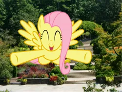 Size: 5000x3750 | Tagged: safe, artist:loboguerrero, artist:rainbowdash2314, derpibooru import, derpy hooves, fluttershy, pegasus, pony, eyes closed, flying, garden, incoming hug, irl, open mouth, photo, ponies in real life, smiling, spread wings, steps, underhoof, vector, wings