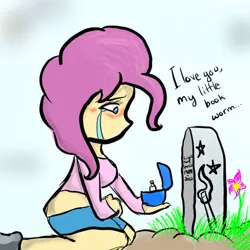 Size: 500x500 | Tagged: safe, derpibooru import, pinkie pie, twilight sparkle, blushing, crying, female, grave, gravestone, humanized, implied death, lesbian, marriage proposal, ring, shipping, twinkie