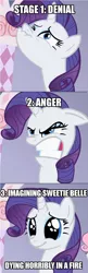 Size: 500x1539 | Tagged: angry, comic, denial, derpibooru import, edit, edited screencap, image macro, rarity, safe, screencap, sisterhooves social, sweetie belle, sweetiebuse