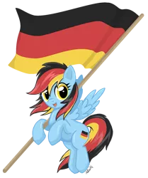 Size: 1001x1200 | Tagged: artist:kaizenwerx, derpibooru import, german dash, germany, nation ponies, rainbow dash, safe