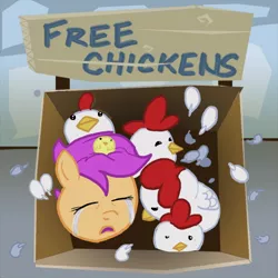 Size: 500x500 | Tagged: abandoned, artist:amehdaus, box, chick, chicken, crying, derpibooru import, feather, orphan, sad, safe, scootabuse, scootachicken, scootaloo, street