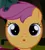 Size: 228x251 | Tagged: safe, derpibooru import, scootaloo, pegasus, pony, faic, female, filly, image, oooooh, png, reaction image, scootastare, stare